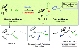 Graphical abstract: A metal-mediated boron-centred isomerisation reaction via C–H activation