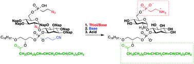Graphical abstract: Synthesis of glycosylphosphatidylinositol (GPI)-anchor glycolipids bearing unsaturated lipids