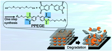 Graphical abstract: Rational design of a degradable polyanion for layer-by-layer assembly for encapsulation and release of cationic functional biomolecules