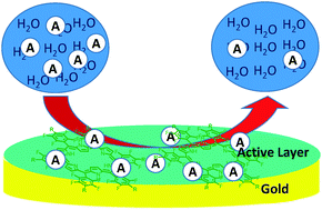 Graphical abstract: [28]Hexaphyrin derivatives for anion recognition in organic and aqueous media
