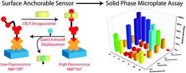 Graphical abstract: A naphthalimide derived fluorescent sensor for solid-phase screening of cucurbit[7]uril–guest interactions
