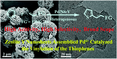 Graphical abstract: Zeolite Y nanosheet assembled palladium catalysts with high catalytic activity and selectivity in the vinylation of thiophenes