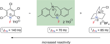 Graphical abstract: Synthesis and characterization of a novel N–F reagent derived from the ethano-Tröger's base: 1JFN coupling constants as a signature for the N–F bond