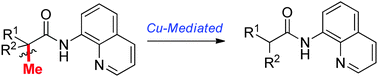 Graphical abstract: Unprecedented copper-mediated oxidative demethylation of propionamides via bidentate-chelation assistance