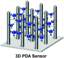 Graphical abstract: A 3D networked polydiacetylene sensor for enhanced sensitivity