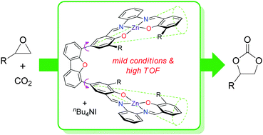 Graphical abstract: Topologically diverse shape-persistent bis-(Zn–salphen) catalysts: efficient cyclic carbonate formation under mild conditions