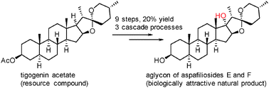 Graphical abstract: Synthesis of the aglycon of aspafiliosides E and F based on cascade reactions