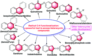 Graphical abstract: Radical C–H functionalization to construct heterocyclic compounds