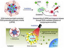 Graphical abstract: Light-controlled reactive oxygen species (ROS)-producible polymeric micelles with simultaneous drug-release triggering and endo/lysosomal escape