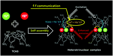 Graphical abstract: Thiacalixarene assembled heterotrinuclear lanthanide clusters comprising TbIII and YbIII enable f–f communication to enhance YbIII-centred luminescence