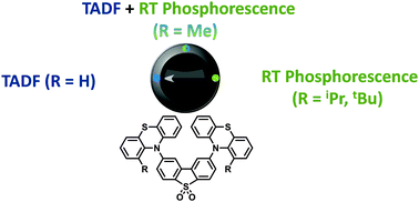 Graphical abstract: The interplay of thermally activated delayed fluorescence (TADF) and room temperature organic phosphorescence in sterically-constrained donor–acceptor charge-transfer molecules
