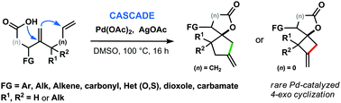 Graphical abstract: Cascade Pd(ii)-catalyzed Wacker lactonization–Heck reaction: rapid assembly of spiranoid lactones