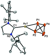 Graphical abstract: Functionalization of P4 in the coordination sphere of coinage metal cations