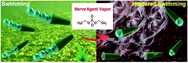 Graphical abstract: Nanomotors responsive to nerve-agent vapor plumes