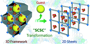 Graphical abstract: Single-crystal-to-single-crystal transformation of an anion exchangeable dynamic metal–organic framework