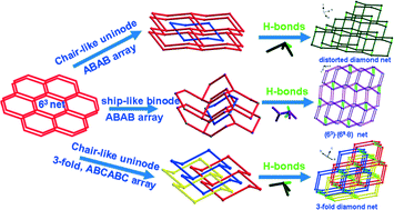 Graphical abstract: Four binuclear coordination polymers with a 63 net and self-assembly of 2D 63 topology into different supramolecular networks using unit–unit H-bonds