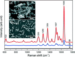 Graphical abstract: Large-scale synthesis of gold dendritic nanostructures for surface enhanced Raman scattering