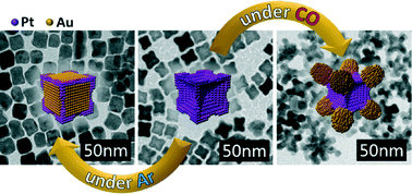 Graphical abstract: Regiospecific growth of Au on a concave PtZn nanocube forming an Au–PtZn surface mosaic nanocube and an Au–PtZn octapod