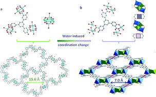 Graphical abstract: Two solvent-dependent porous coordination polymers with –OH decorated ligands: unusual non-crystallographic net and fsh topology