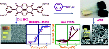 Graphical abstract: Conducting hydrogel of a naphthalenetetracarboxylic dianhydride derivative and polyaniline: different electronic properties in gel and xerogel states