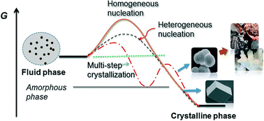 Graphical abstract: Crystal networks in supramolecular gels: formation kinetics and mesoscopic engineering principles