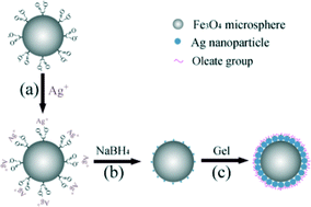 Graphical abstract: Gel-assisted synthesis of oleate-modified Fe3O4@Ag composite microspheres as magnetic SERS probe for thiram detection