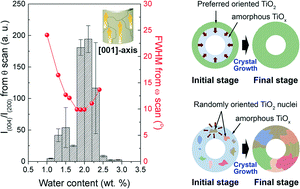 Graphical abstract: Observation of anatase nanograins crystallizing from anodic amorphous TiO2 nanotubes