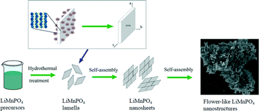 Graphical abstract: Hydrothermal synthesis of flower-like LiMnPO4 nanostructures self-assembled with (010) nanosheets and their application in Li-ion batteries
