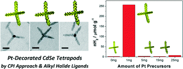 Graphical abstract: Uniform decoration of Pt nanoparticles on well-defined CdSe tetrapods and the effect of their Pt cluster size on photocatalytic H2 generation