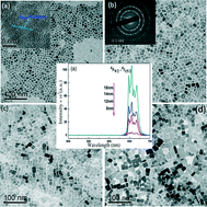 Graphical abstract: The use of zinc ions to control the size of Yb/Er:KMnF3 nanocrystals with single band emission