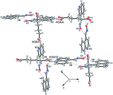 Graphical abstract: Oxime synthons in the salts and cocrystals of quinoline-4-carbaldoxime for non-covalent synthesis