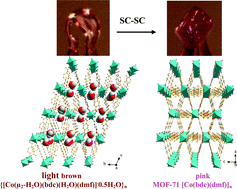 Graphical abstract: MOF-71 as a degradation product in single crystal to single crystal transformation of new three-dimensional Co(ii) 1,4-benzenedicarboxylate
