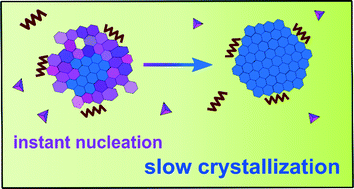 Graphical abstract: The evolution of crystalline ordering for ligand-ornamented zinc oxide nanoparticles
