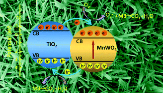 Graphical abstract: New strategy for the in situ synthesis of single-crystalline MnWO4/TiO2 photocatalysts for efficient and cyclic photodegradation of organic pollutants