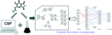 Graphical abstract: Experimental and computational crystal structure landscape study of nigerloxin: a fungal metabolite from Aspergillus niger