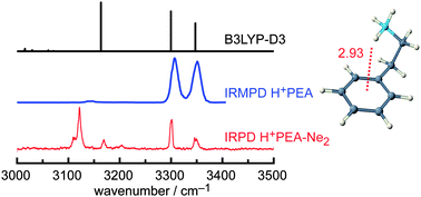 Graphical abstract: IR spectrum of the protonated neurotransmitter 2-phenylethylamine: dispersion and anharmonicity of the NH3+–π interaction