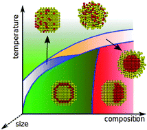 Graphical abstract: Thermodynamics of nanoalloys