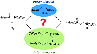 Graphical abstract: Are intramolecular frustrated Lewis pairs also intramolecular catalysts? A theoretical study on H2 activation