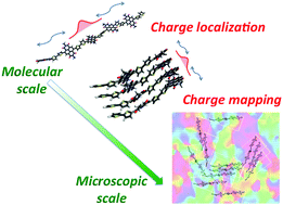 Graphical abstract: Multi-length-scale relationships between the polymer molecular structure and charge transport: the case of poly-naphthalene diimide bithiophene