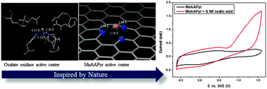Graphical abstract: Bio-inspired design of electrocatalysts for oxalate oxidation: a combined experimental and computational study of Mn–N–C catalysts