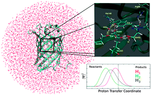 Graphical abstract: Transient low-barrier hydrogen bond in the photoactive state of green fluorescent protein