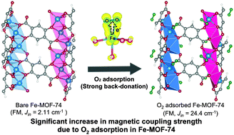 Graphical abstract: Modulating the magnetic behavior of Fe(ii)–MOF-74 by the high electron affinity of the guest molecule