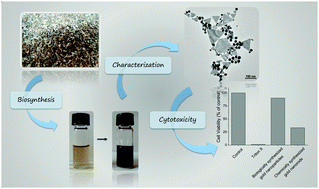 Graphical abstract: Bio-mediated synthesis, characterization and cytotoxicity of gold nanoparticles