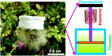 Graphical abstract: Observation of viscoelasticity in boron nitride nanosheet aerogel