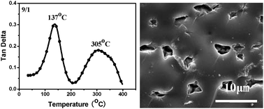 Graphical abstract: A novel benzoxazine/cyanate ester blend with sea-island phase structures