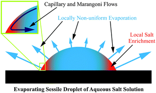 Graphical abstract: The evaporation behavior of sessile droplets from aqueous saline solutions
