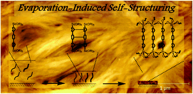 Graphical abstract: Evaporation-induced self-structuring of organised silica nanohybrid films through cooperative physical and chemical interactions