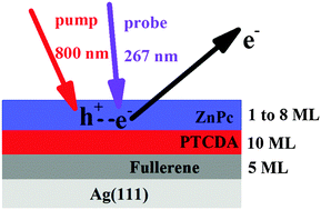 Graphical abstract: Non-fullerene acceptors: exciton dissociation with PTCDA versus C60
