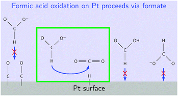 Graphical abstract: Formic acid oxidation on platinum: a simple mechanistic study