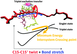 Graphical abstract: Energy dissipative photoprotective mechanism of carotenoid spheroidene from the photoreaction center of purple bacteria Rhodobacter sphaeroides